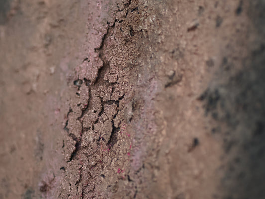 Naissance – Toile cartonnée 70×60 cm | Technique mixte texturée |