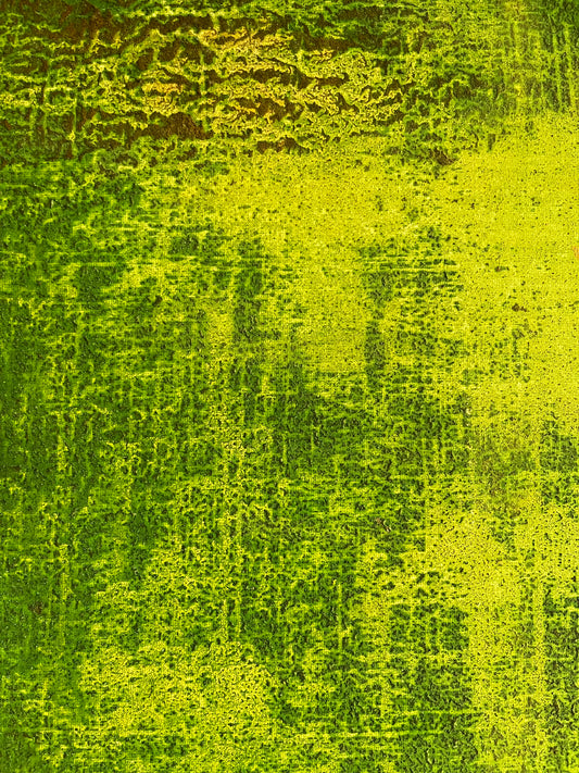 Comme la Mousse (coton/chassis 100*40) 2022