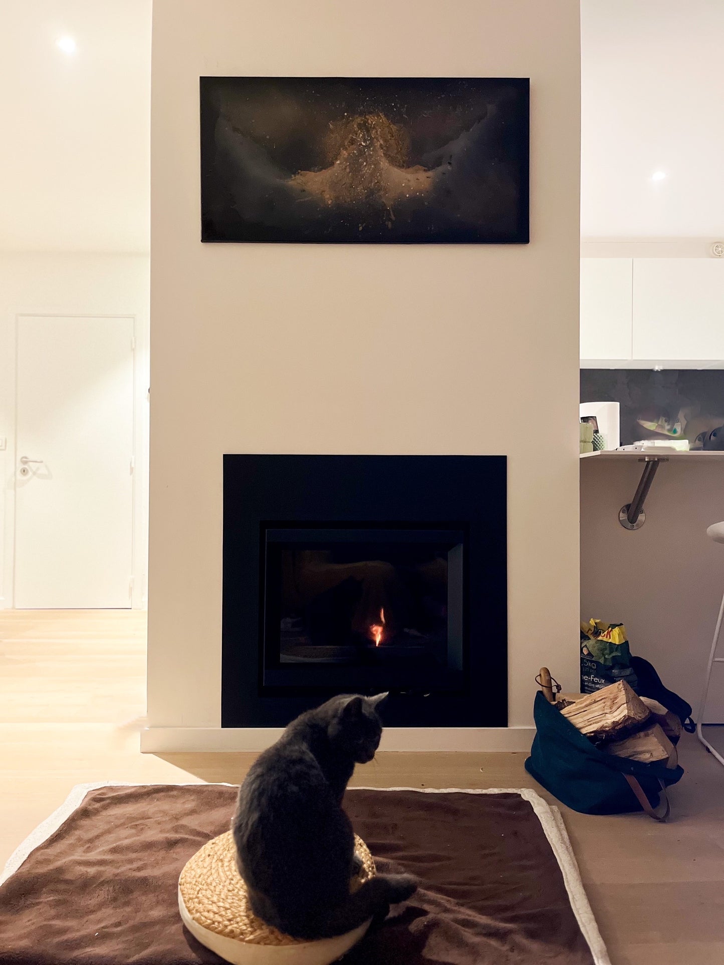 Phoenix (coton/résine/chassis 80*100) 2023