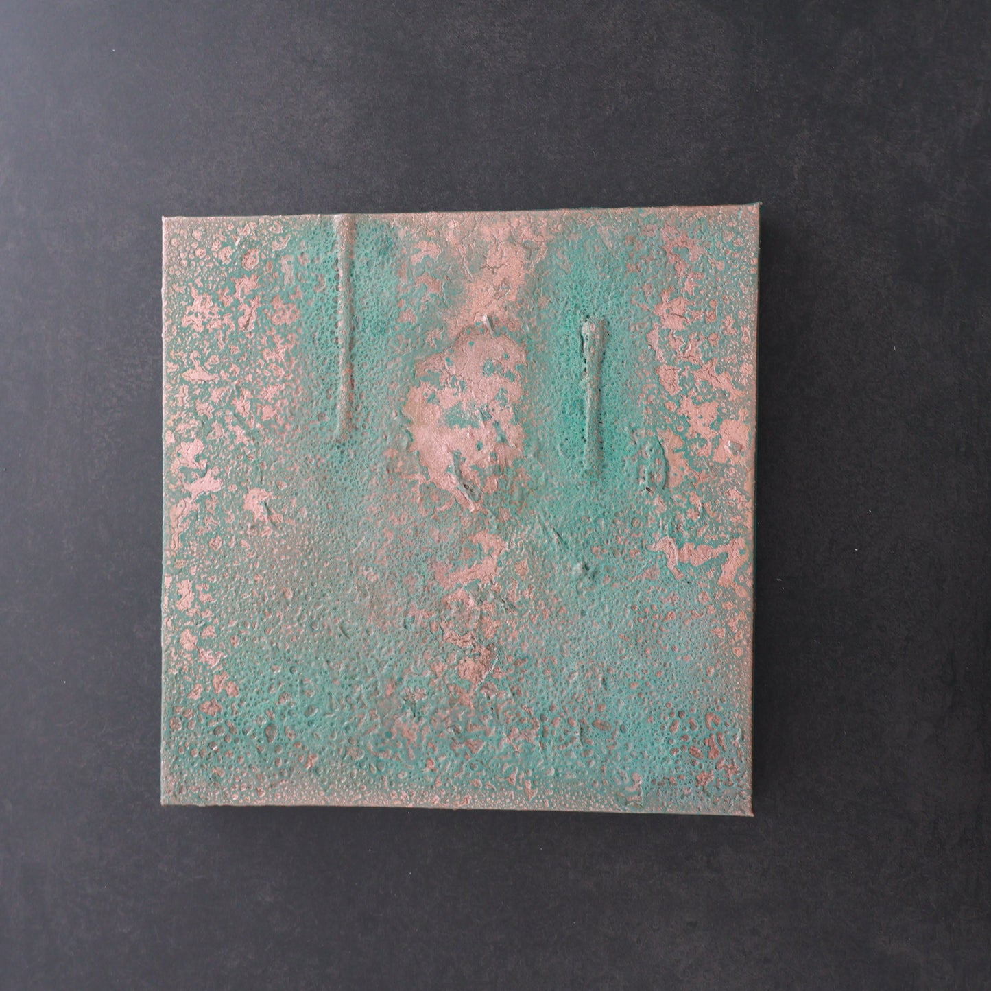 Mutation (coton/chassis 29*29) 2025